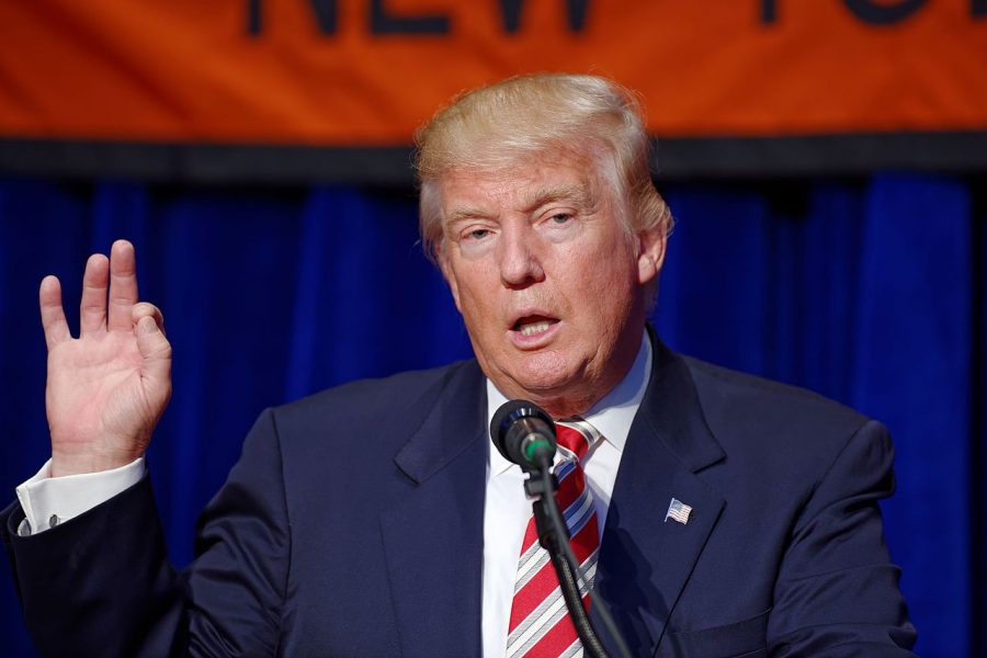 Trump Plans to Terminate Program That Has Helped Millions Because of One Individual's Actions