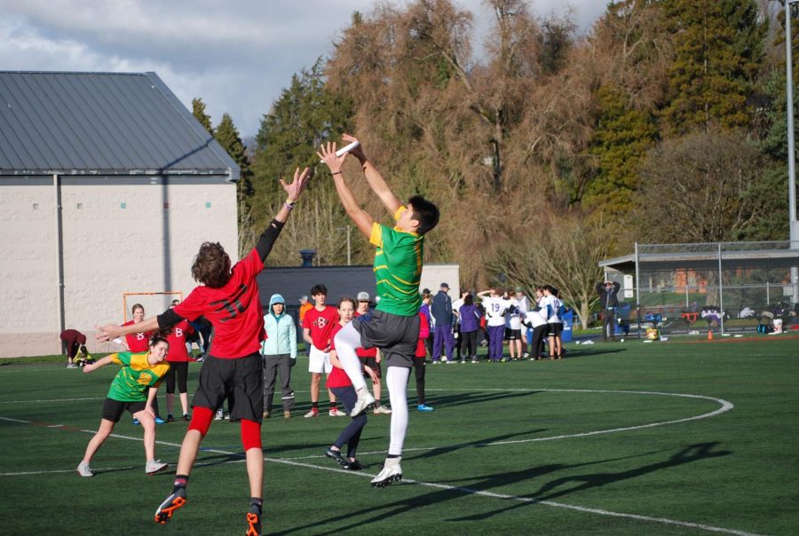 Ultimate Frisbee hits playoffs