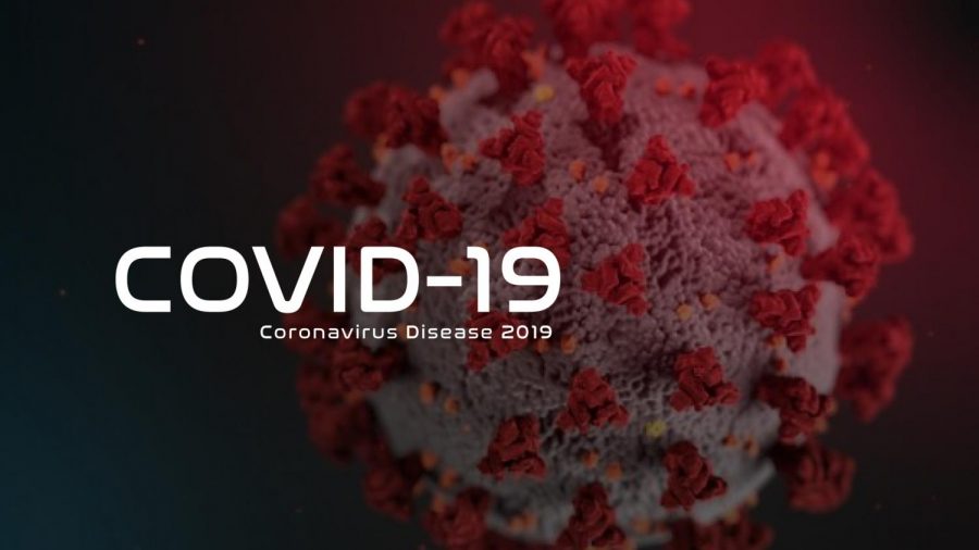 Coronavirus+Disease+2019+Rotator+Graphic+for+af.mil.+%28U.S.+Air+Force+Graphic+by+Rosario+Charo+Gutierrez%29