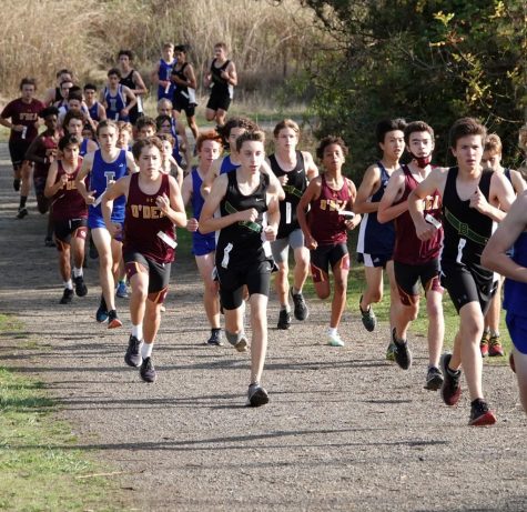 Cross Country Victorious at Magnuson