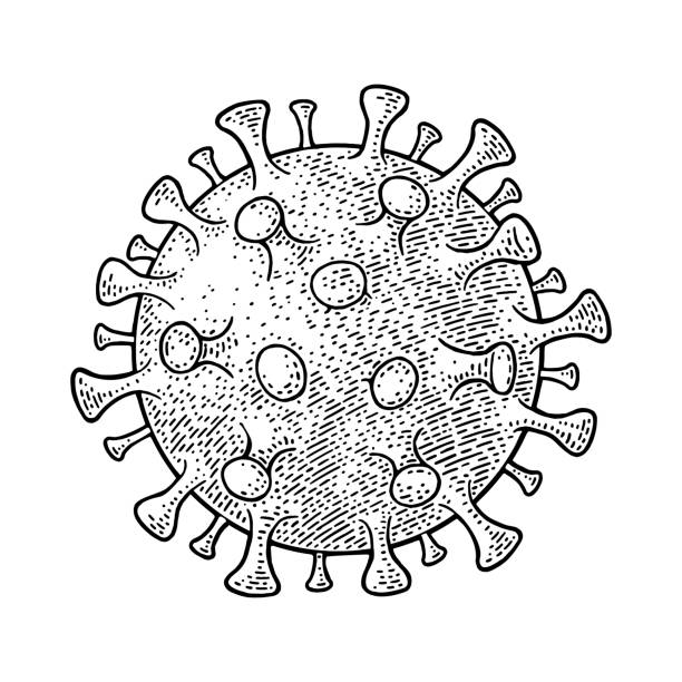 Coronavirus Bacteria Cell. Engraving vintage vector black illustration. Isolated on white background. Hand drawn design element for science and medical poster or banner about 2019-nCoV