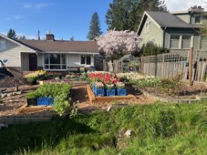 Finn's Farm: Science teacher Mr. Finn is looking forward to tending to his many dahlias over spring break.